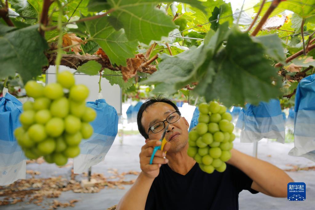 长乐坊游戏充值平台